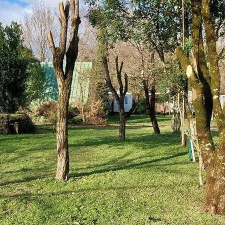 Kemping Mobil-home Confortable Avec Terrasse, 3 Pour 6 Personnes - Api-1-52-752